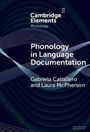 Gabriela Caballero: Phonology in Language Documentation, Buch