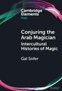 Gal Sofer: Conjuring the Arab Magician, Buch