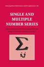 Alberto Debernardi Pinos: Single and Multiple Number Series, Buch