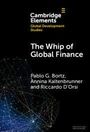 „Cambridge Elements: Global Development Studies: The Whip of Global Finance“ von Pablo Gabriel Bortz, Annina Kaltenbrunner, Riccardo D'Orsi. Abstrakte Linien unten links.