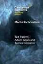Cambridge Elements: Philosophy of Mind, Mental Fictionalism von Ted Parent, Adam Toon, Tamás Demeter. Rauchige, abstrakte Kunst.