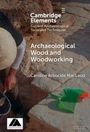 Caroline Arbuckle Macleod: Archaeological Wood and Woodworking, Buch