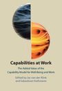 „Capabilities at Work: The Added Value of the Capability Model for Well-Being and Work“. Zwei Halbkreise, oben blau, unten orange.