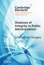 "Cambridge Elements" oben links. "Shadows of Integrity in Public Administration", Autor: Luis Garrido-Vergara. Blaues, abstraktes Muster.