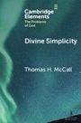 Thomas H. Mccall: Divine Simplicity, Buch