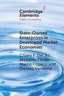 Chiara F. Del Bo: State-Owned Enterprises in Developed Market Economies, Buch