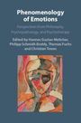 "Phenomenology of Emotions" oben. Herausgeber: Melichar, Schmidt-Boddy, Fuchs, Tewes. Abstraktes Gesichts-Gemälde unten.