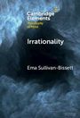 Ema Sullivan-Bissett: Irrationality, Buch