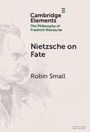 Robin Small: Nietzsche on Fate, Buch