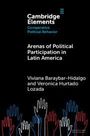 Viviana Baraybar-Hidalgo: Arenas of Political Participation in Latin America, Buch
