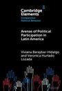 Viviana Baraybar-Hidalgo: Arenas of Political Participation in Latin America, Buch