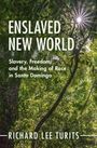 Text: "ENSLAVED NEW WORLD. Slavery, Freedom, and the Making of Race in Santo Domingo. Richard Lee Turits." Hintergrund: Baumkronen.