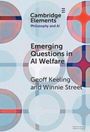 Geoff Keeling: Emerging Questions in AI Welfare, Buch