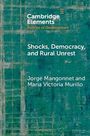 Text: "Cambridge Elements Politics of Development. Shocks, Democracy, and Rural Unrest. Jorge Mangonnet and Maria Victoria Murillo." Hintergrund in grün-blauem Muster.