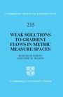 Titel: "Weak Solutions to Gradient Flows in Metric Measure Spaces". Autoren: Wojciech Górny, José M. Mazón. Verlag: Cambridge University Press.