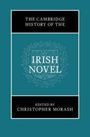 Text oben: "The Cambridge History of the". Groß in der Mitte: "Irish Novel". Unten: "Edited by Christopher Morash".