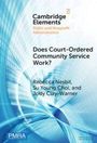 "Does Court-Ordered Community Service Work?", Autoren Rebecca Nesbit, Su Young Choi, Jody Clay-Warner, blauer abstrakter Hintergrund.