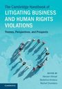 Titel: "The Cambridge Handbook of Litigation Business and Human Rights Violations". Menschen auf Weltkarte.