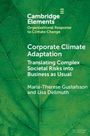 Maria-Therese Gustafsson: Corporate Climate Adaptation, Buch