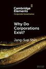 "Why Do Corporations Exist?" von Jang-Sup Shin, mit goldenen, wellenartigen Mustern auf schwarzem Hintergrund.