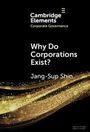 "Cambridge Elements Corporate Governance. Why Do Corporations Exist? Jang-Sup Shin. Schwarzer Hintergrund, goldene Welle."