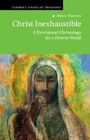 Titel: "Christ Inexhaustible". Untertitel: "A Provisional Christology for a Diverse World". Illustration einer nachdenklichen Person.
