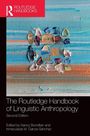 "The Routledge Handbook of Linguistic Anthropology, Second Edition" steht unter einem abstrakten Gemälde aus bunten Pinselstrichen.