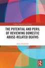 James Rowlands: The Potential and Peril of Reviewing Domestic Abuse-Related Deaths, Buch