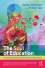 James Biddulph: The Soul of Education, Buch