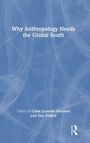 Why Anthropology Needs the Global South, Buch