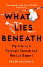 Peter Faulding: What Lies Beneath, Buch