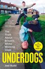Joel Budd: Underdogs, Buch