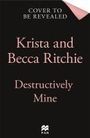 Becca Ritchie: Destructively Mine, Buch