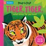 Campbell Books: Tiger, Tiger, What Stripy Fur You Have!, Buch