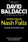 David Baldacci: Nash Falls, Buch