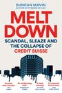 Duncan Mavin: Meltdown, Buch