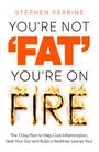 Stephen Perrine: You're Not 'Fat', You're On Fire, Buch