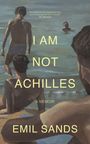 „I AM NOT ACHILLES“ und „EMIL SANDS“ stehen vor ruhigem Meer, Menschen schwimmen. Malerei-Stil.