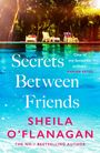 Sheila O'Flanagan: Secrets Between Friends, Buch