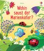 : Wohin saust der Marienkäfer?, Buch