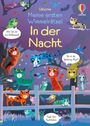 Titel: "Meine ersten Wimmelrätsel: In der Nacht". Bunte Katzen und Tiere in einer nächtlichen Illustration mit Suchaufgaben.