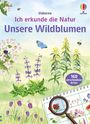 „Ich erkunde die Natur: Unsere Wildblumen“ mit „160 verschiedene Arten“. Illustration mit Blumen, Bienen, Schmetterlingen.