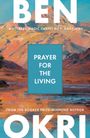 „Prayer for the Living“, A Literary Magic Carpet Ride, Ben Okri. Illustration von bergenartigen Landschaften in warmen Farben.