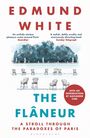 "THE FLÂNEUR: A Stroll Through the Paradoxes of Paris" von Edmund White. Illustration von Bäumen und leeren Stühlen im Freien.