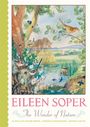 „Eileen Soper: The Wonder of Nature“; Vögel in einer idyllischen Landschaft mit Bäumen und Wasser. Vintage-Illustration.