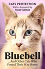 "Bluebell ... And Other Cats Who Found Their Way Home" steht über dem Gesicht einer Katze mit blauen Augen.