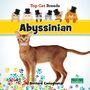 Bernard Conaghan: Abyssinian, Buch