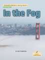 Kim Thompson: In the Fog, Buch