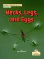 Kim Thompson: Necks, Legs, and Eggs, Buch