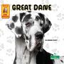 Corinne Fickett: Great Dane, Buch